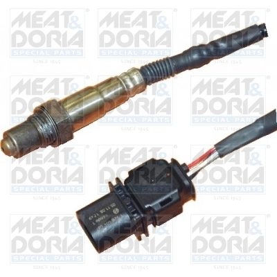 Oxygen Sensor